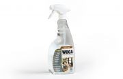 Intensivreiniger, Spray 0,75 Liter 